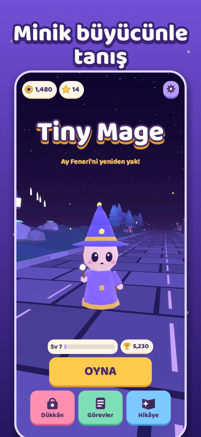 Tiny Mage: Endless Run screenshot 2 (TR)